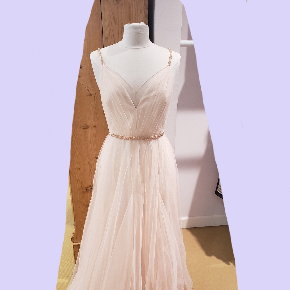 BCBG Blush Tulle Dress